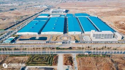小蘑菇做出大产业 平面设计赋能乡村经济新典范